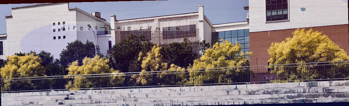 麻将胡了CN赛事数据全景